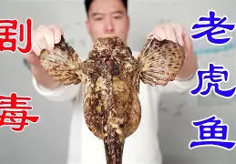 4AM_godv【金句&补图】补了一些新需求，加了疙瘩(y445114封隔器结构图)