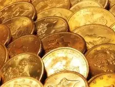 八戒体育-黄金万两！球队空中搜昌，心中铁火的简单介绍